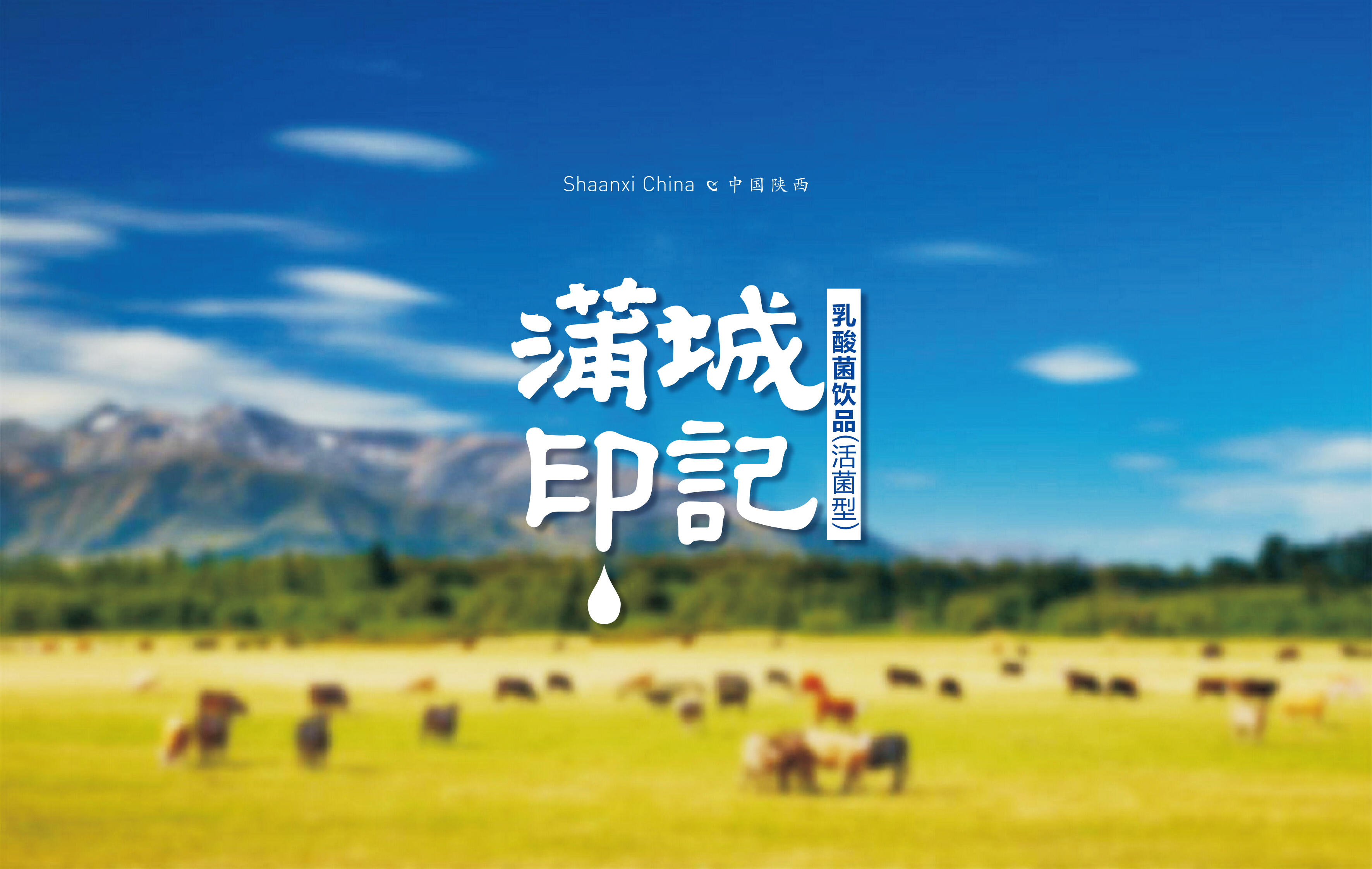 蒲城印记